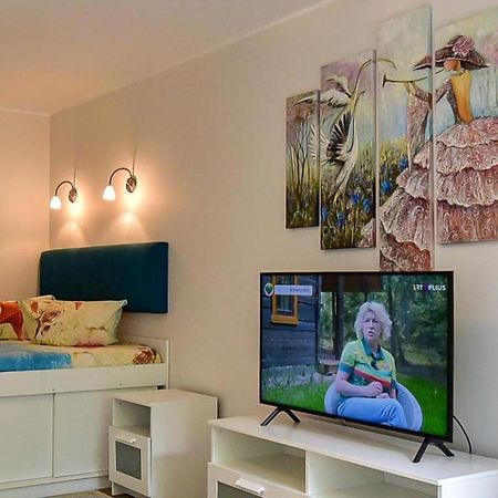 Stilingi Apartamentai Su Virtuve Traku Miesto Centre Trakai Exteriér fotografie