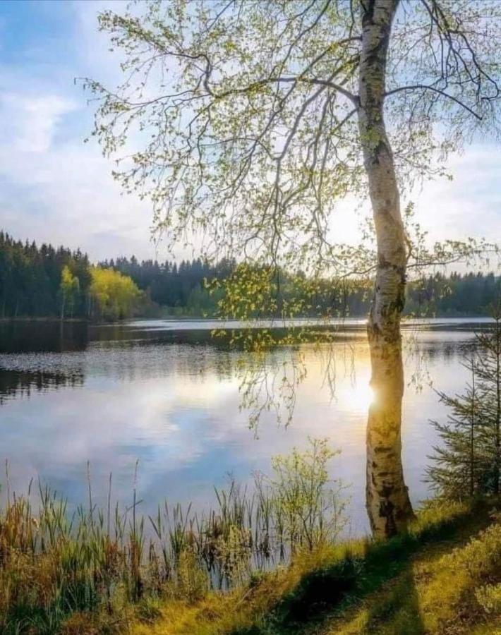 Stilingi Apartamentai Su Virtuve Traku Miesto Centre Trakai Exteriér fotografie