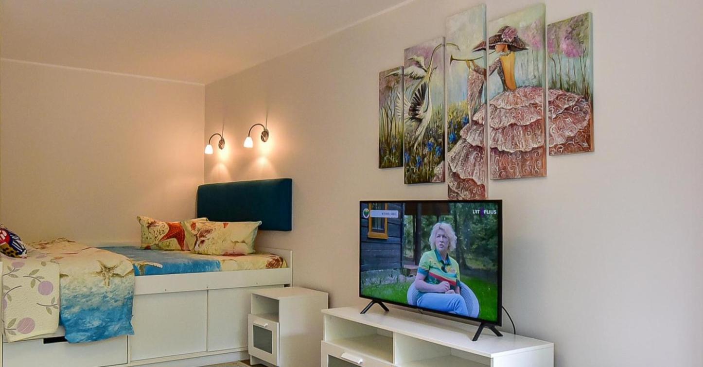 Stilingi Apartamentai Su Virtuve Traku Miesto Centre Trakai Exteriér fotografie